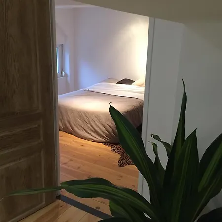 Loft Pasteur *